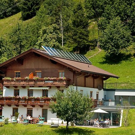 Appartements Hartlbauer Dorfgastein Luaran gambar